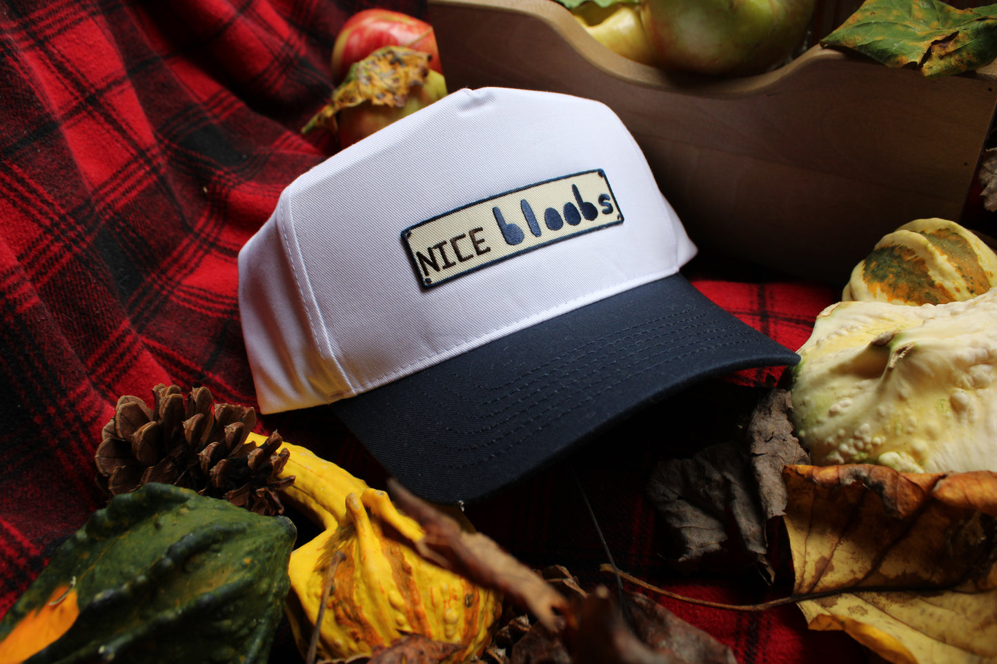 Nice Bloobs Trucker Hat