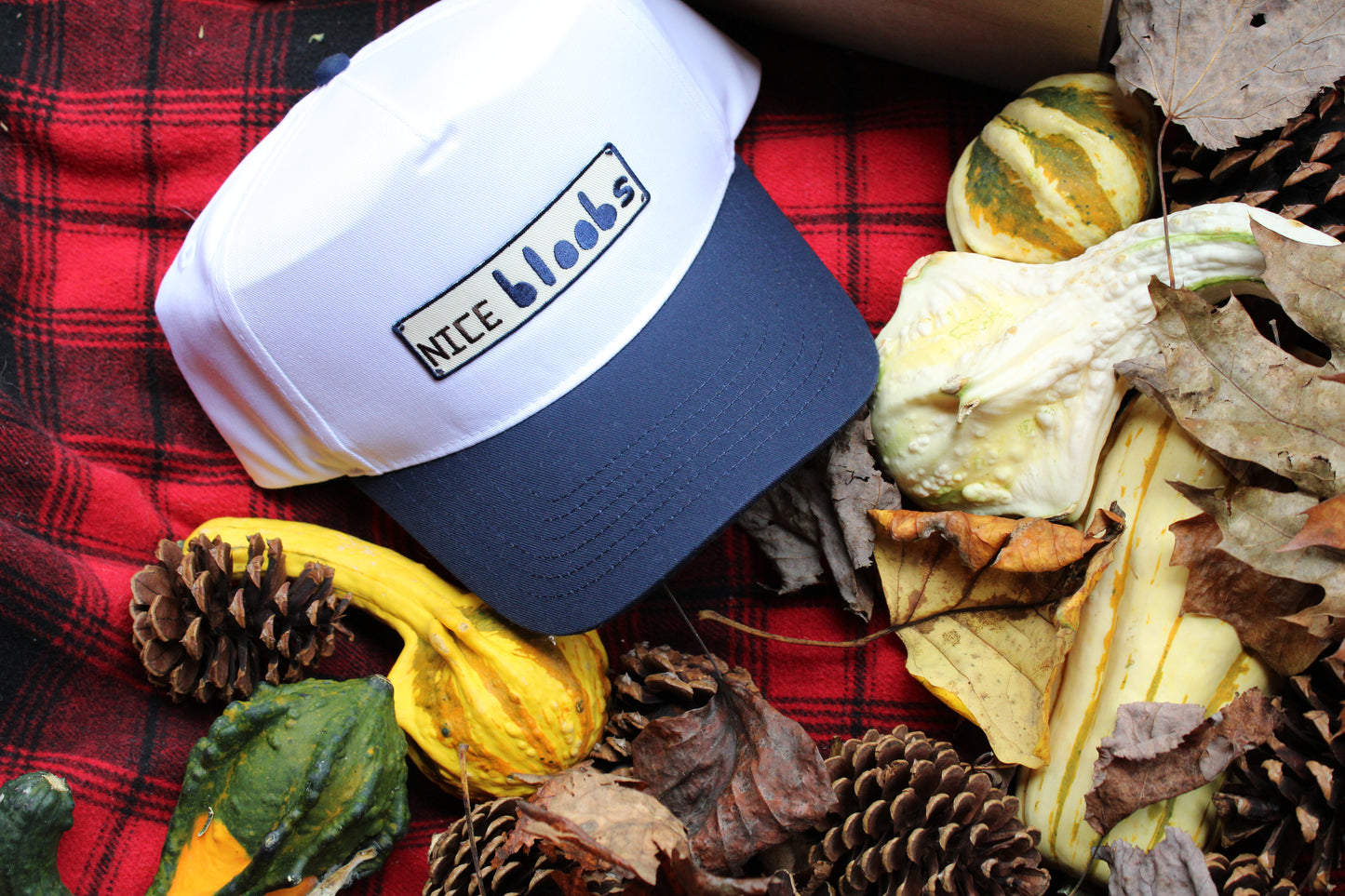 Nice Bloobs Trucker Hat